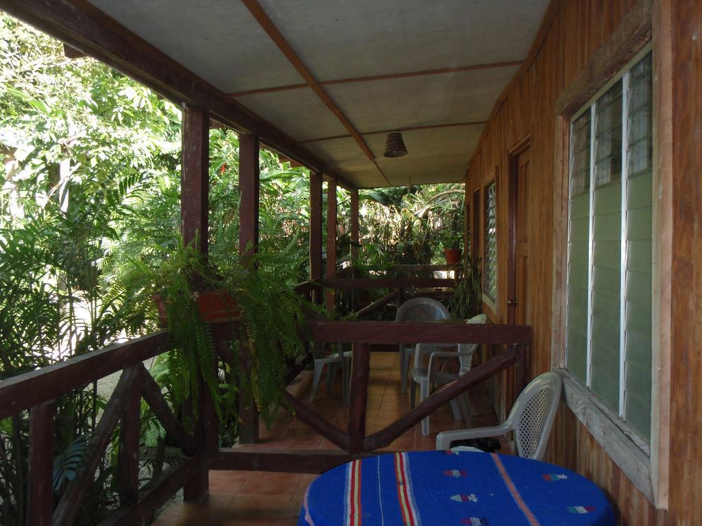 Guest House Posada Ixchel Эль-Ремате Номер фото