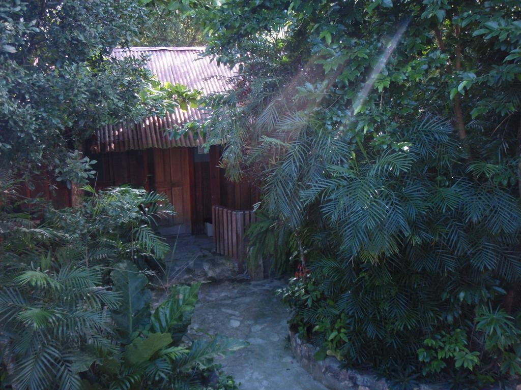 Guest House Posada Ixchel Эль-Ремате Экстерьер фото