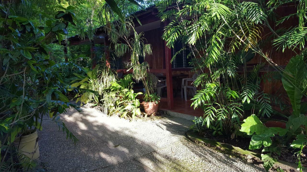 Guest House Posada Ixchel Эль-Ремате Экстерьер фото